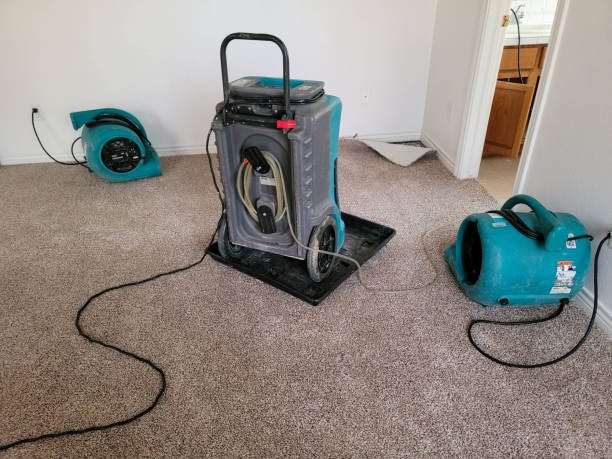 Best Sewage cleanup and water damage restoration  in Palmer, TX