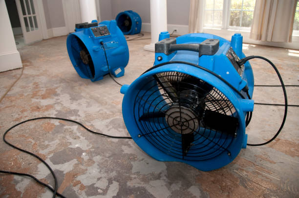 Best Commercial water damage restoration  in Palmer, TX