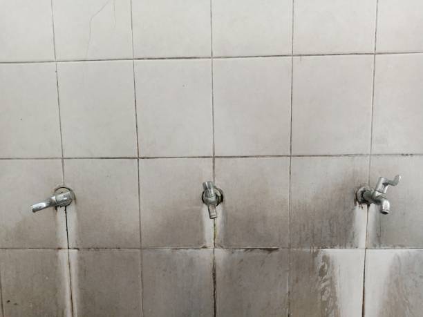 Best Flooded house restoration  in Palmer, TX