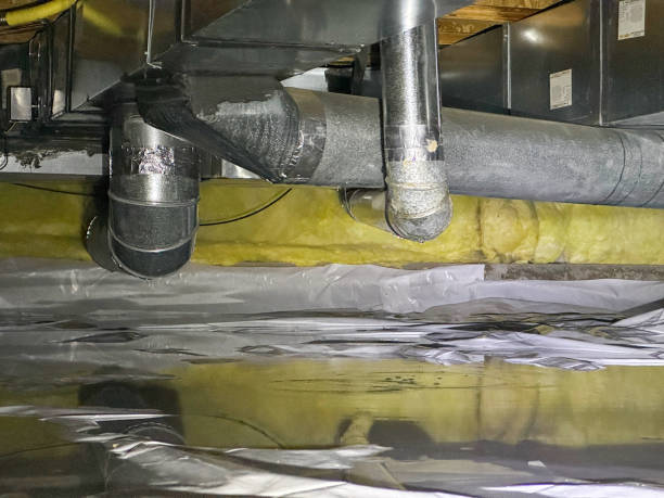Best Local water damage restoration  in Palmer, TX
