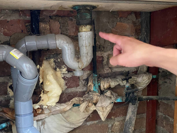Best Mold removal after water damage  in Palmer, TX